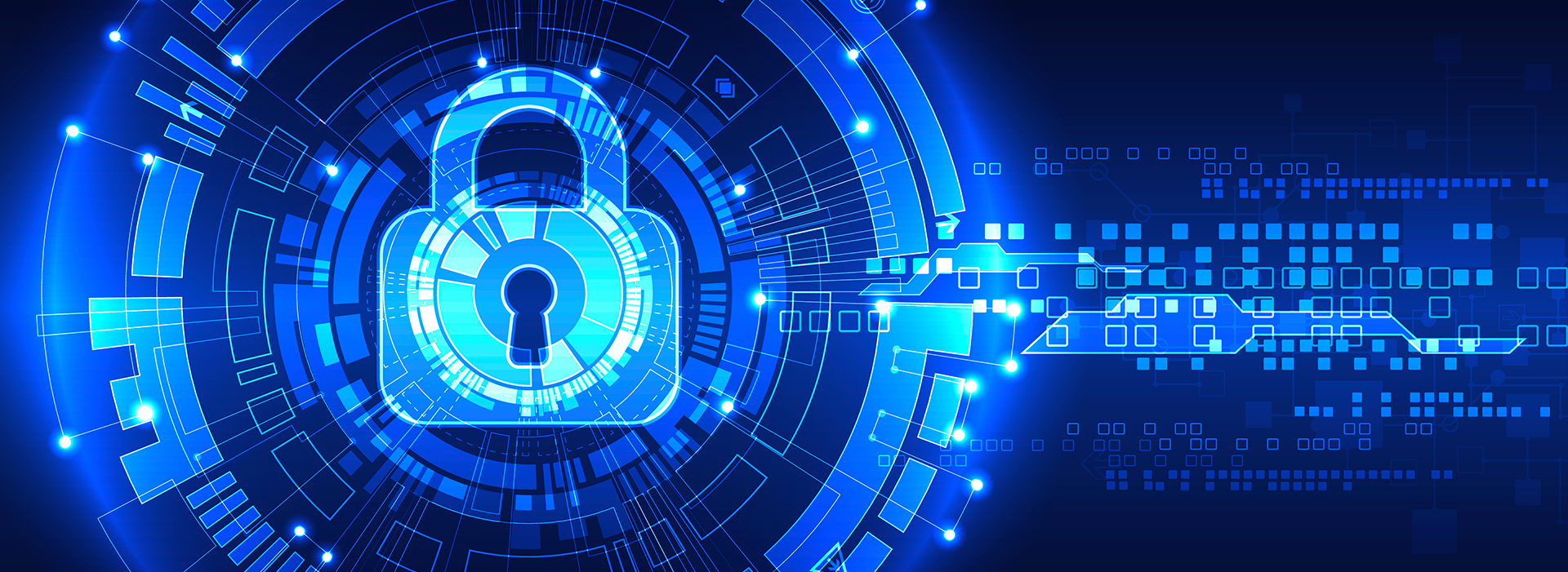 Secure Software Development