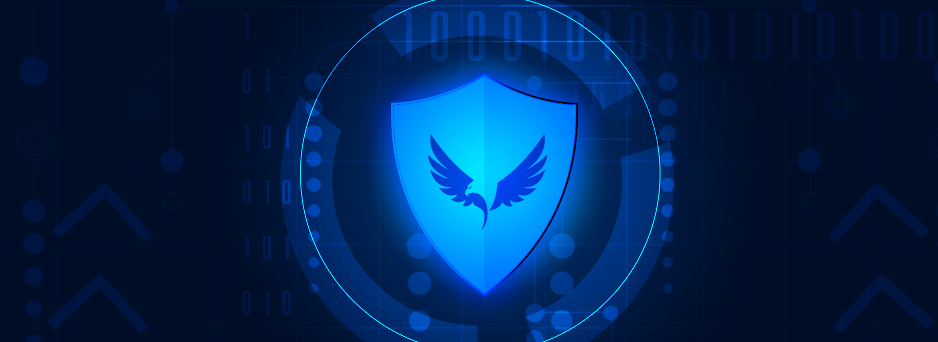 Secure Software Development