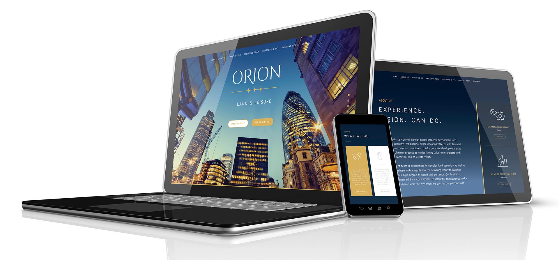 Orion Case Study